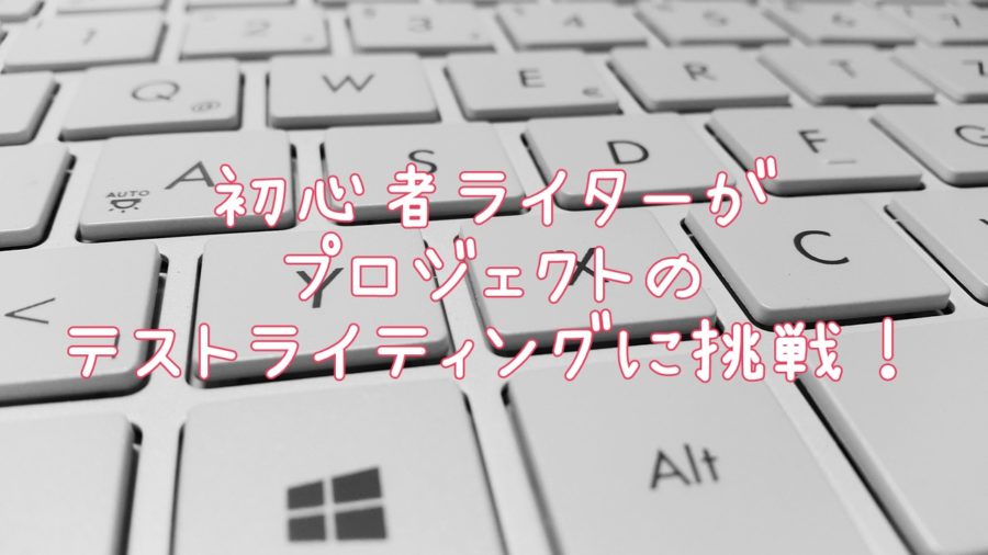 初心者ライターがクラウドワークスでプロジェクトのテストライティングを進める ふりぃだむすたいる